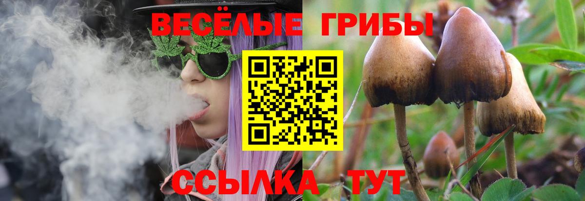 Псилоцибиновые грибы мицелий  Вход с VPN  Конаково 