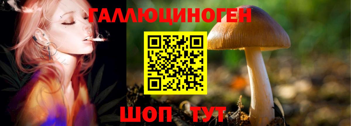 Псилоцибиновые грибы MAGIC MUSHROOMS Конаково