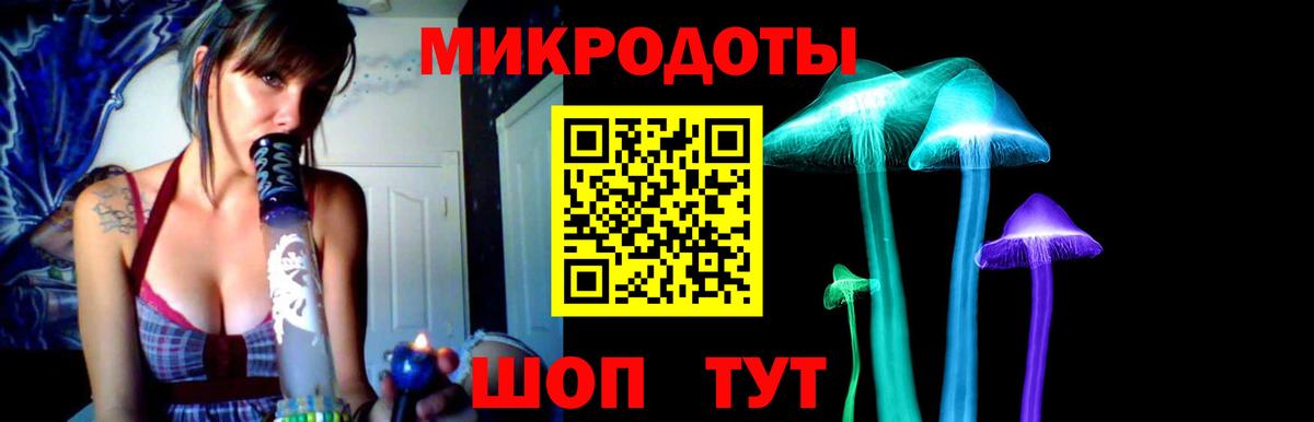 Галлюциногенные грибы Cubensis Конаково