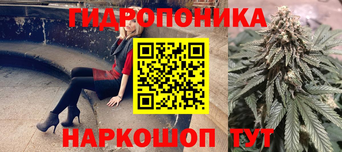 Бошки марихуана OG Kush Конаково